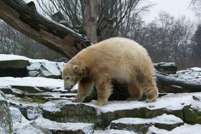 ich bin ja nicht nachtragend
