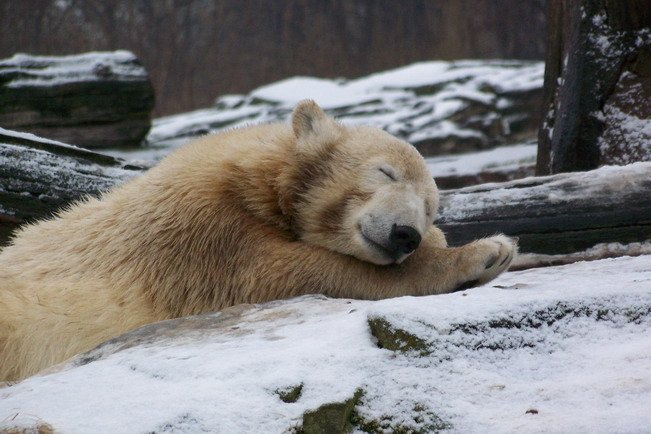 und keiner ist da :-(