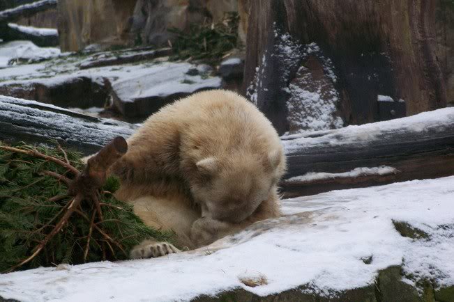 wisst ihr ueberhaupt wie doof ich mich ohne meine Fans ...