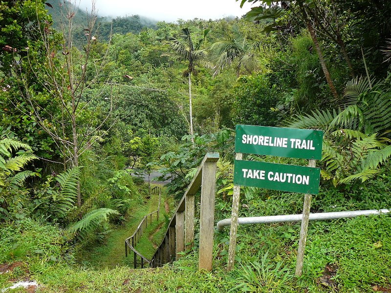 Grand Etang shoreline trail