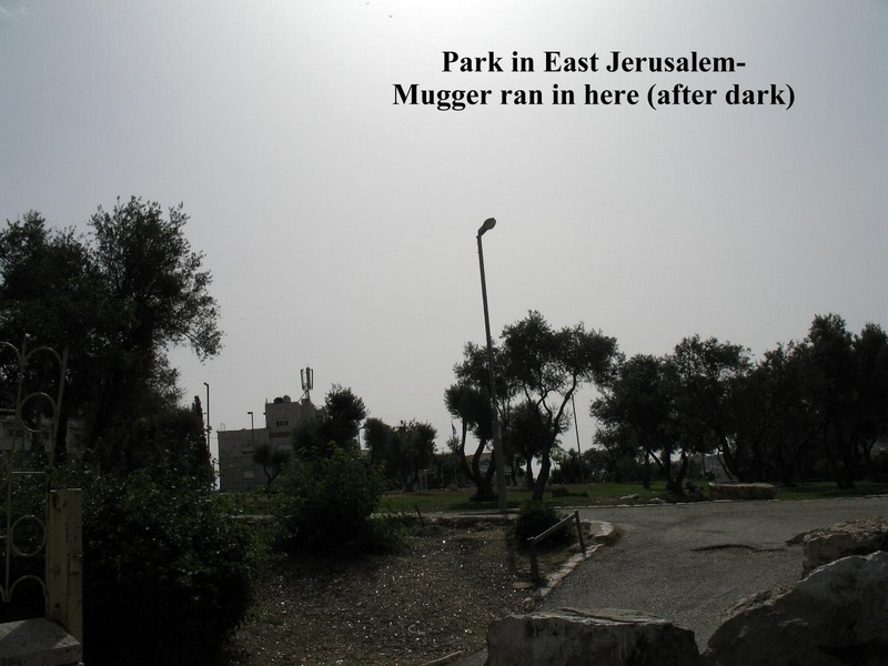 3718ParkMuggerH IdIn