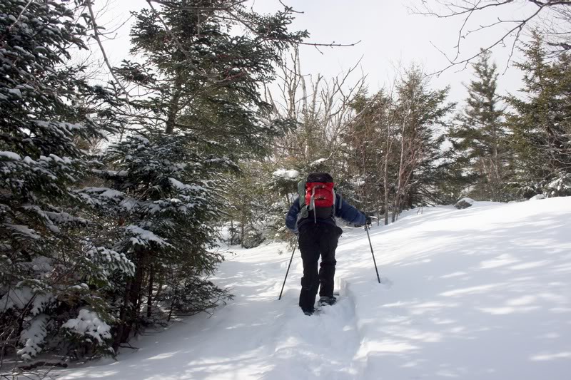 C-STARTING UP LOOKOUT MT