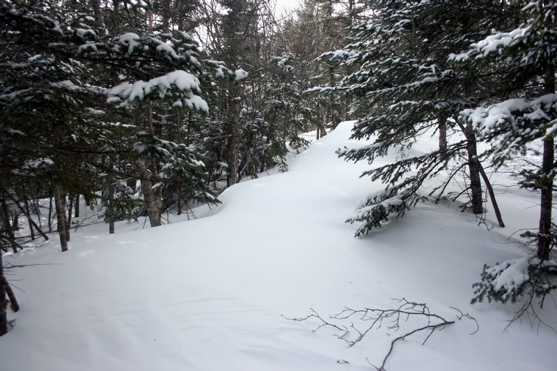 D-DRIFTED OVER TRAIL