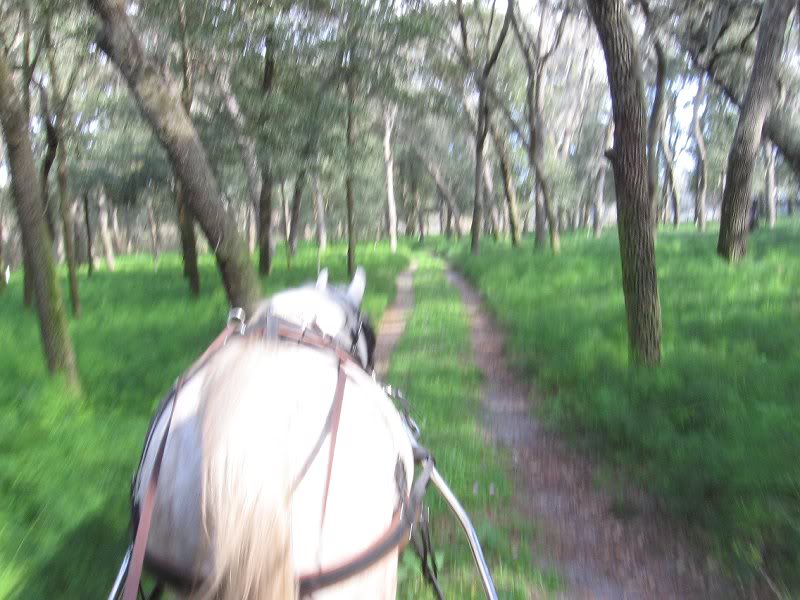 From the view of the navigator