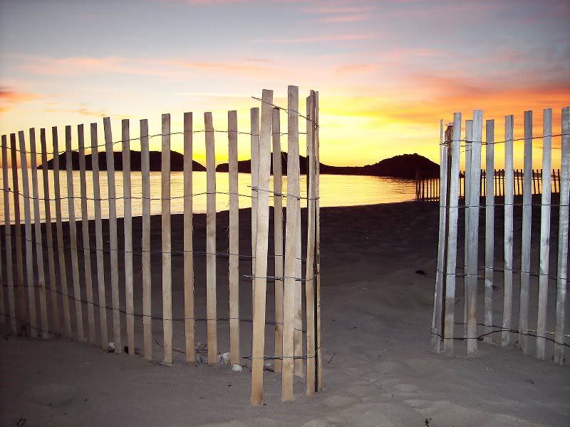 Snow Fence At Sunset
