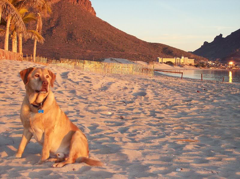 Sunsets on Algodones Beach