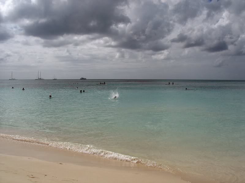 and going for a dive_7747