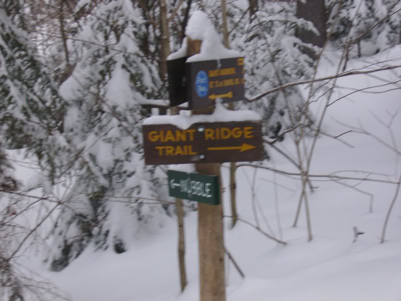 Marker at the Nubble