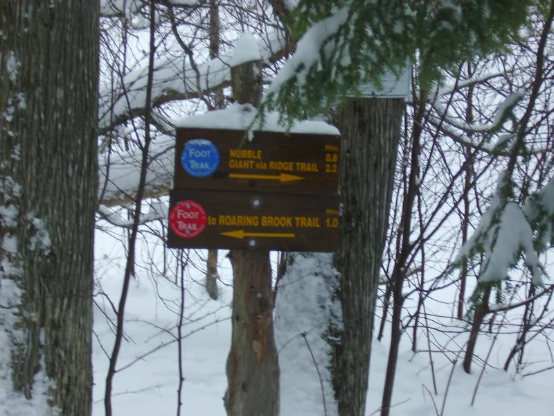 Trail Marker