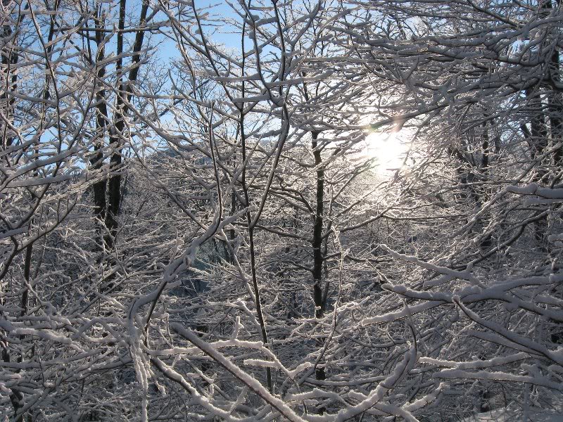 The sun rises over Howker Ridge