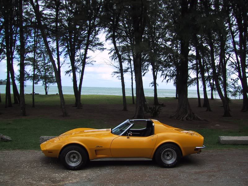1973 Corvette Stingray North Shore