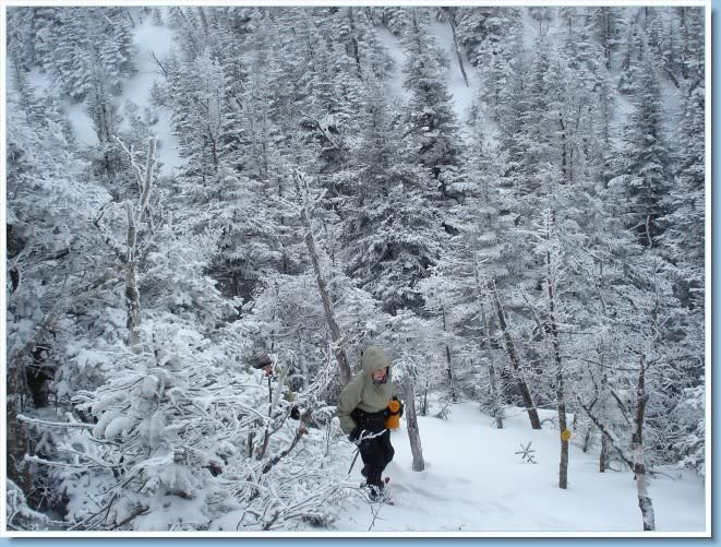 Hiking thru the trees