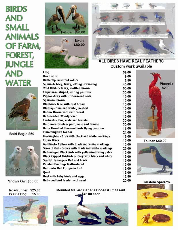 Wild bird miniatures 1