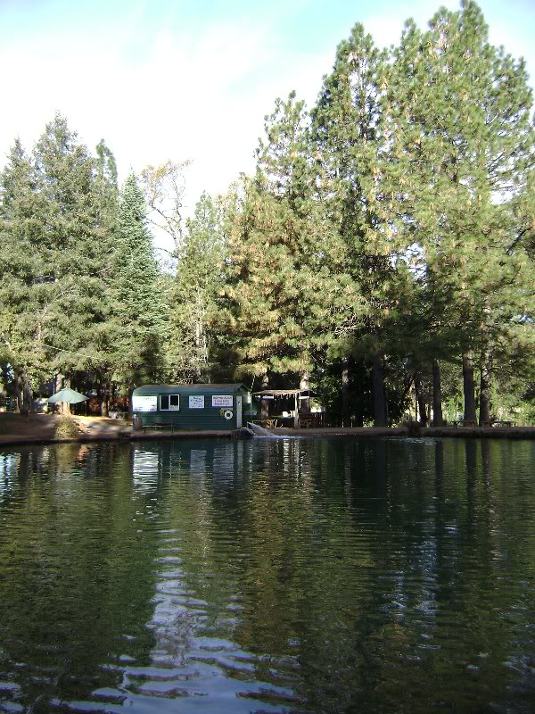 Adjacent to Apple Orchard