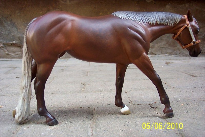 WhisperremrepAn jaSchmidtsilver dapple