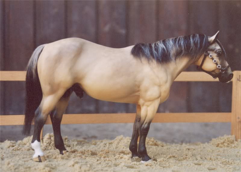 adiosrrhheikepo lsterdappledbuc kskin