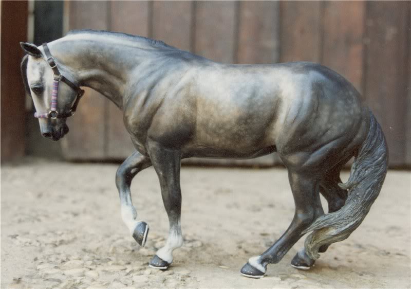 chipjeanbarrett dapplegray