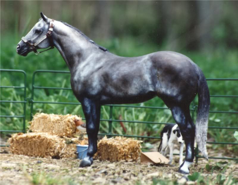 lprrjeanbarrett darkdapplegray