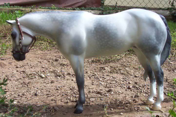 lprrmichelleb-l ockeleft