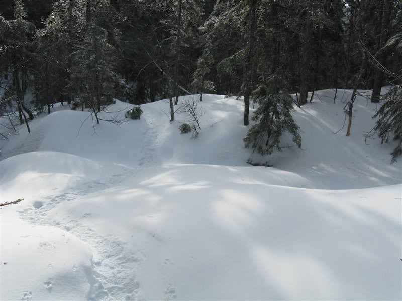 One of the 11 brook crossings each way