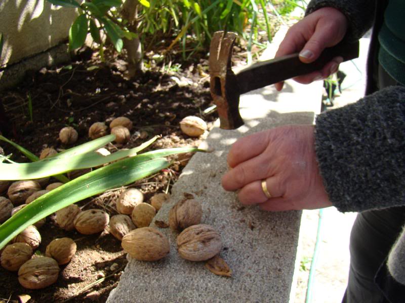 How To Make Lebanese Sweets