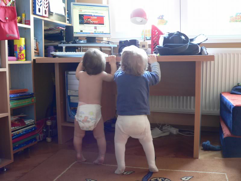 vandalizam camera lui Raul