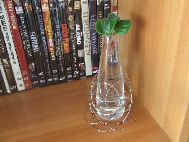 frunze violeta puse la prins