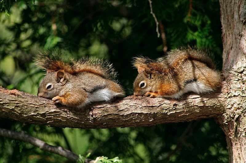 Work done - Siesta time