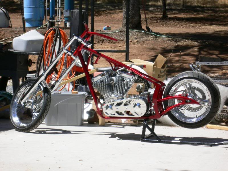 BBC back from painters