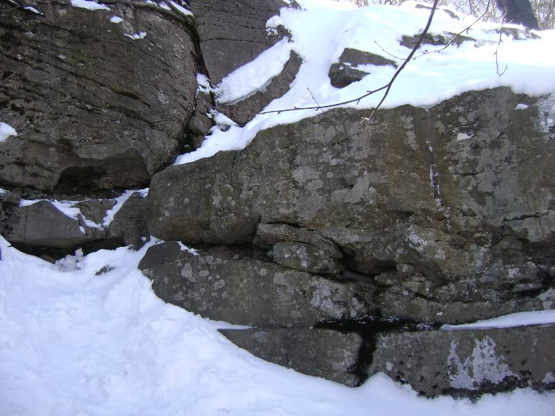 moonraywittenbe rg 015