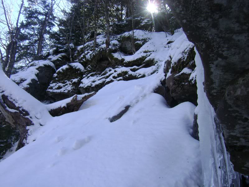 moonraywittenbe rg 019