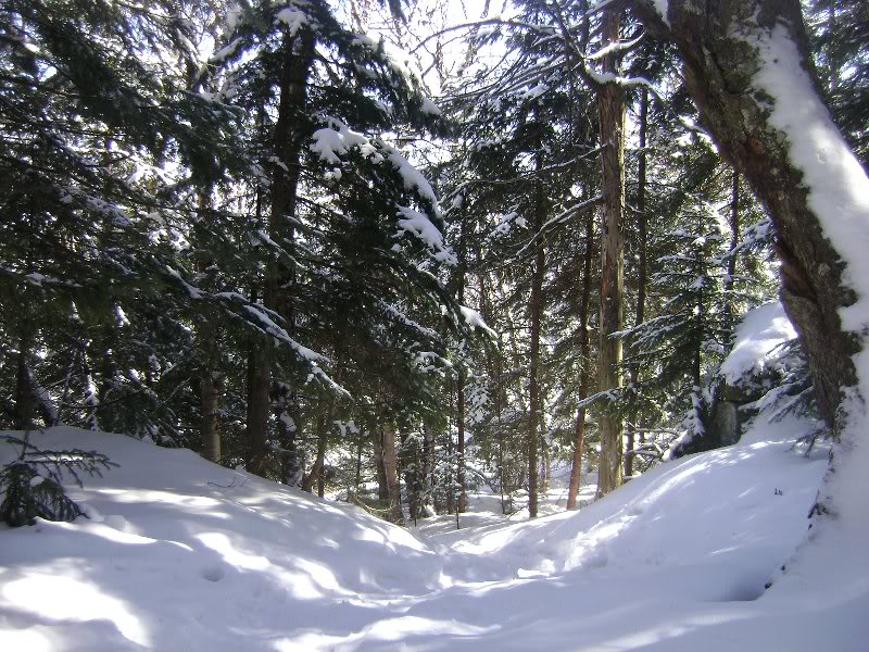 moonraywittenbe rg 021