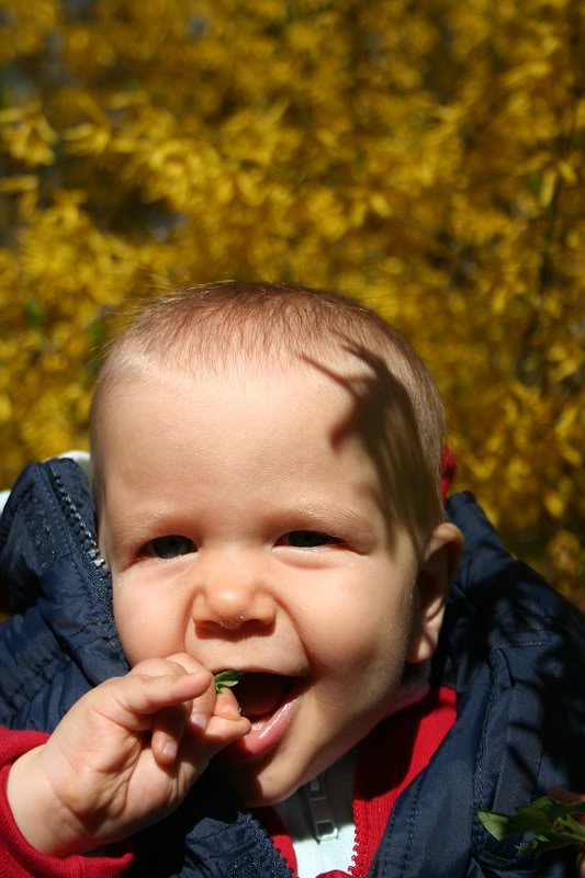 parca nu are gust de brocolli