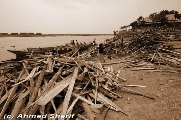 lost forests........ ......02