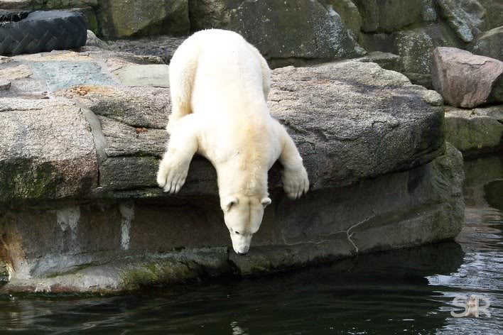 Nancy will nicht ins Wasser