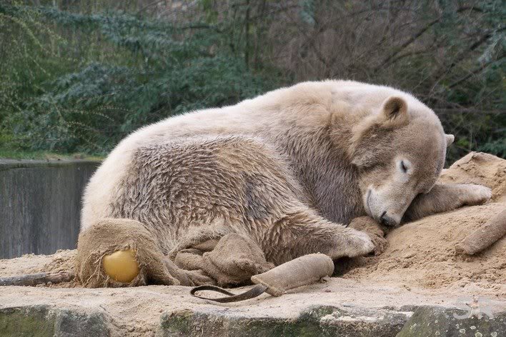 aber ich schlafe trotzdem :-)