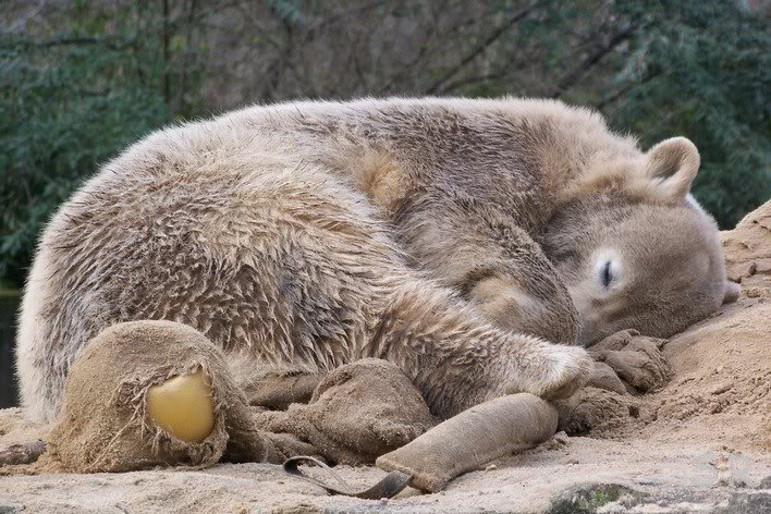 ich bin beschaeftigt