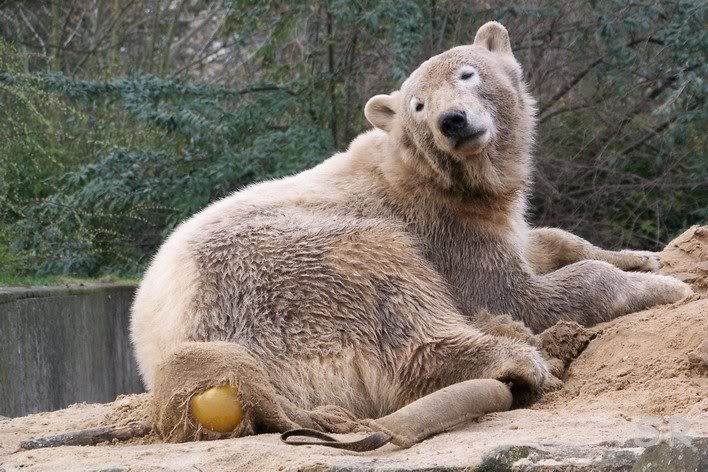 ihr seid zwar eine Stunde frueher da...