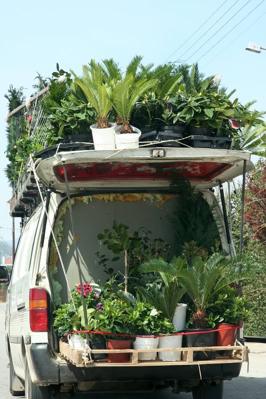 Seen along the road to Mycenae