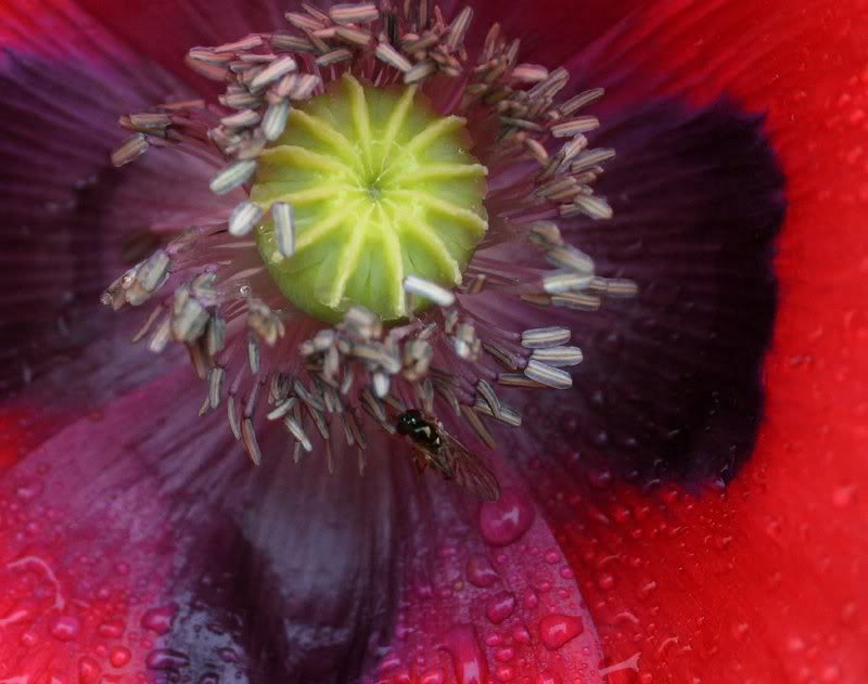 just a little rearrangement