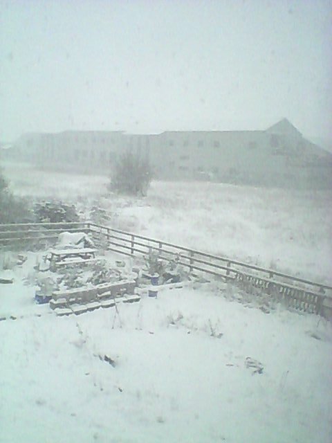 Looks beautiful in white