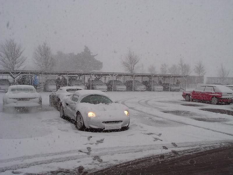 Lotus about to go home