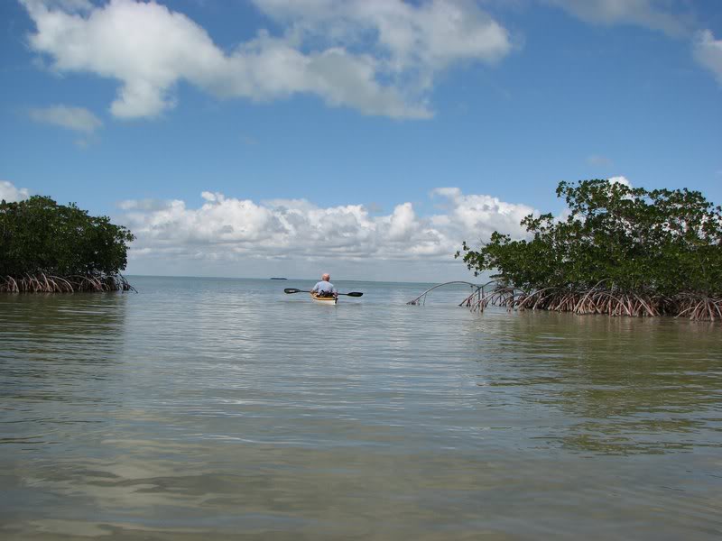 010908 Dussenbury Creek -Outside the Boggies 011