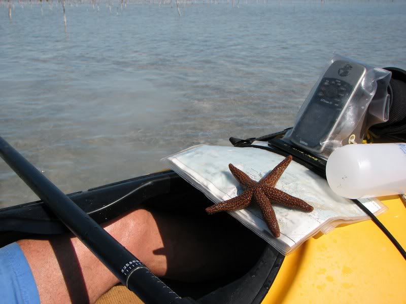 011808 Sunset Park-Pigeon Key-Bottle Key Nature Trip 05...