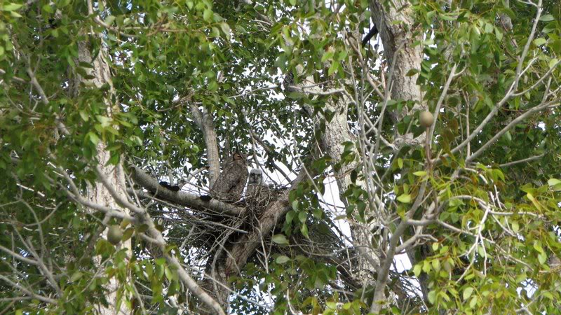 013008 Nine Mile Pond with Jack Gina & Dave 005