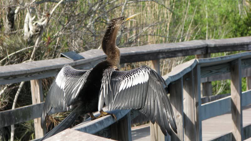 013008 Nine Mile Pond with Jack Gina & Dave 026