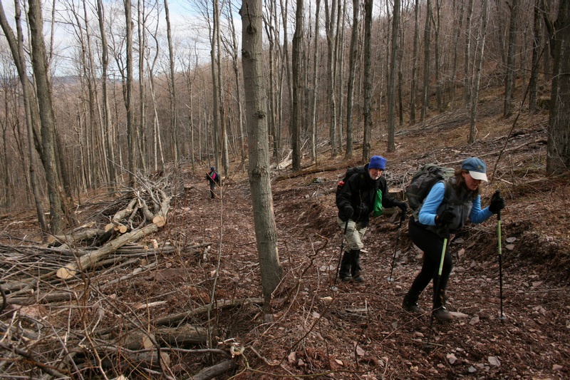 03-UP THE LOGGING ROAD