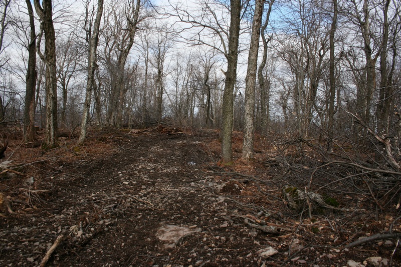 05-SUMMIT LOGGING