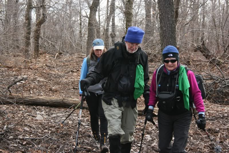 06-LOOKING OUT FOR LOGS