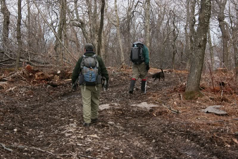 07-RALPH ALAN AND BOOKAH